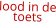 lood in de toets